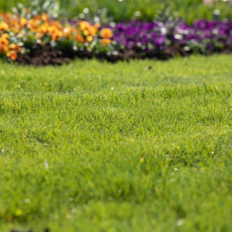 Für jeden Garten den richtigen Rasen